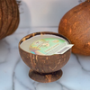 Island Soap and Candle Works - Creamy Coconut Scented Coconut Shell Candle