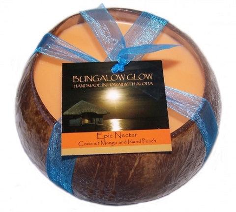 Bubble Shack Hawaii - Bungalow Glow Epic Nectar Coconut Shell Soy Candle