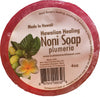 Bubble Shack Hawaii - Noni Soap